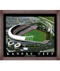 Stadium Aerial View Prints