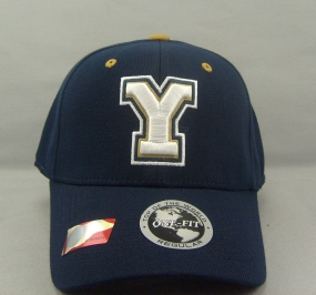 Brigham Young Cougars Team Color One Fit Hat