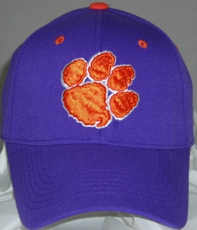 Clemson Tigers Team Color One Fit Hat
