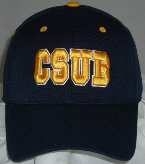 CSUB Roadrunners Team Color One Fit Hat