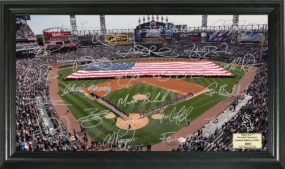 Chicago White Sox Signature Field Collection