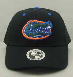 Florida Gators Black One Fit Hat