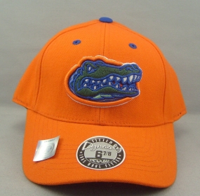 Florida Gators Dynasty Fitted Hat