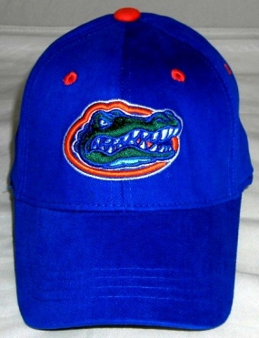 Florida Gators Youth Team Color One Fit Hat