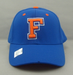 Florida Gators Team Color One Fit Hat
