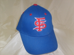 Fresno State Bulldogs Youth Team Color One Fit Hat