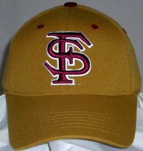 Florida State Seminoles Team Color One Fit Hat