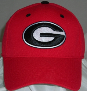 Georgia Bulldogs Team Color One Fit Hat