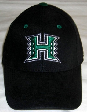 Hawaii Warriors Youth Team Color One Fit Hat