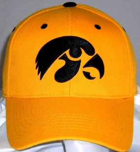 Iowa Hawkeyes Team Color One Fit Hat