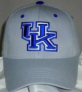 Kentucky Wildcats Team Color One Fit Hat