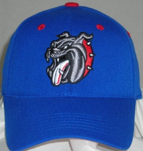 Louisiana Tech Bulldogs Team Color One Fit Hat