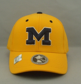 Michigan Wolverines Team Color One Fit Hat