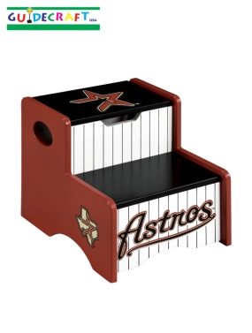 Houston Astros Storage Step Up