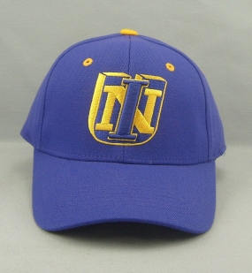 Northern Iowa Panthers Team Color One Fit Hat