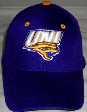 Northern Iowa Panthers Youth Team Color One Fit Hat
