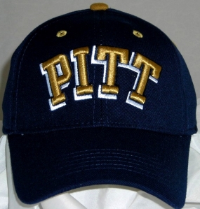 Pittsburgh Panthers Team Color One Fit Hat