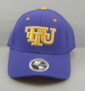 Tennessee Tech Golden Eagles Team Color One Fit Hat
