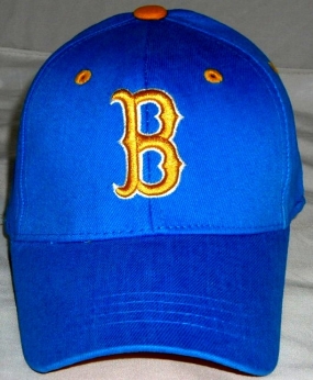 UCLA Bruins Youth Team Color One Fit Hat