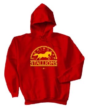 unknown Birmingham Stallions Logo Hoody